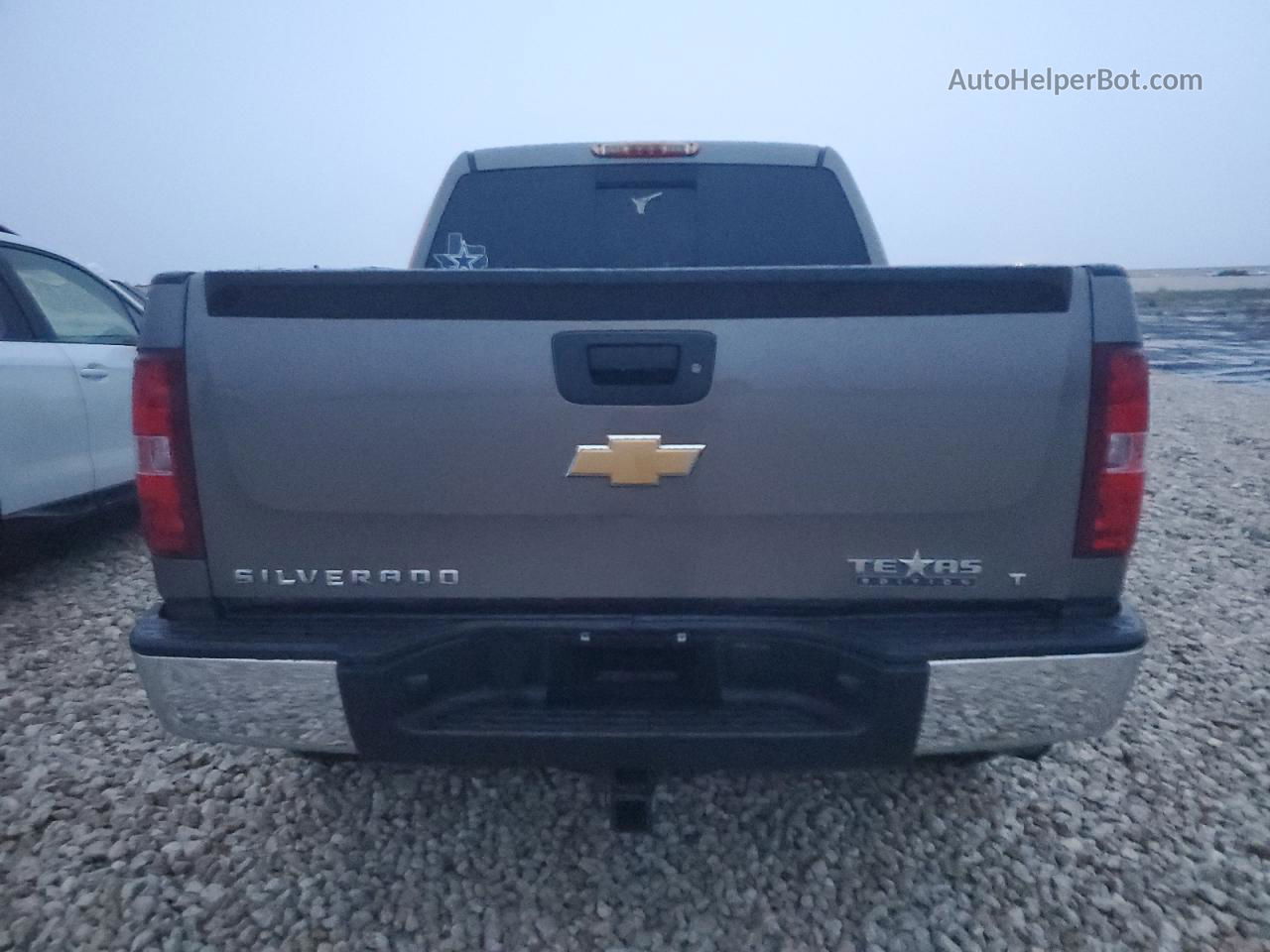 2012 Chevrolet Silverado C1500 Lt Gray vin: 3GCPCSE02CG275329