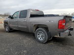 2013 Chevrolet Silverado K1500 Ls Gray vin: 3GCPKREA4DG293451