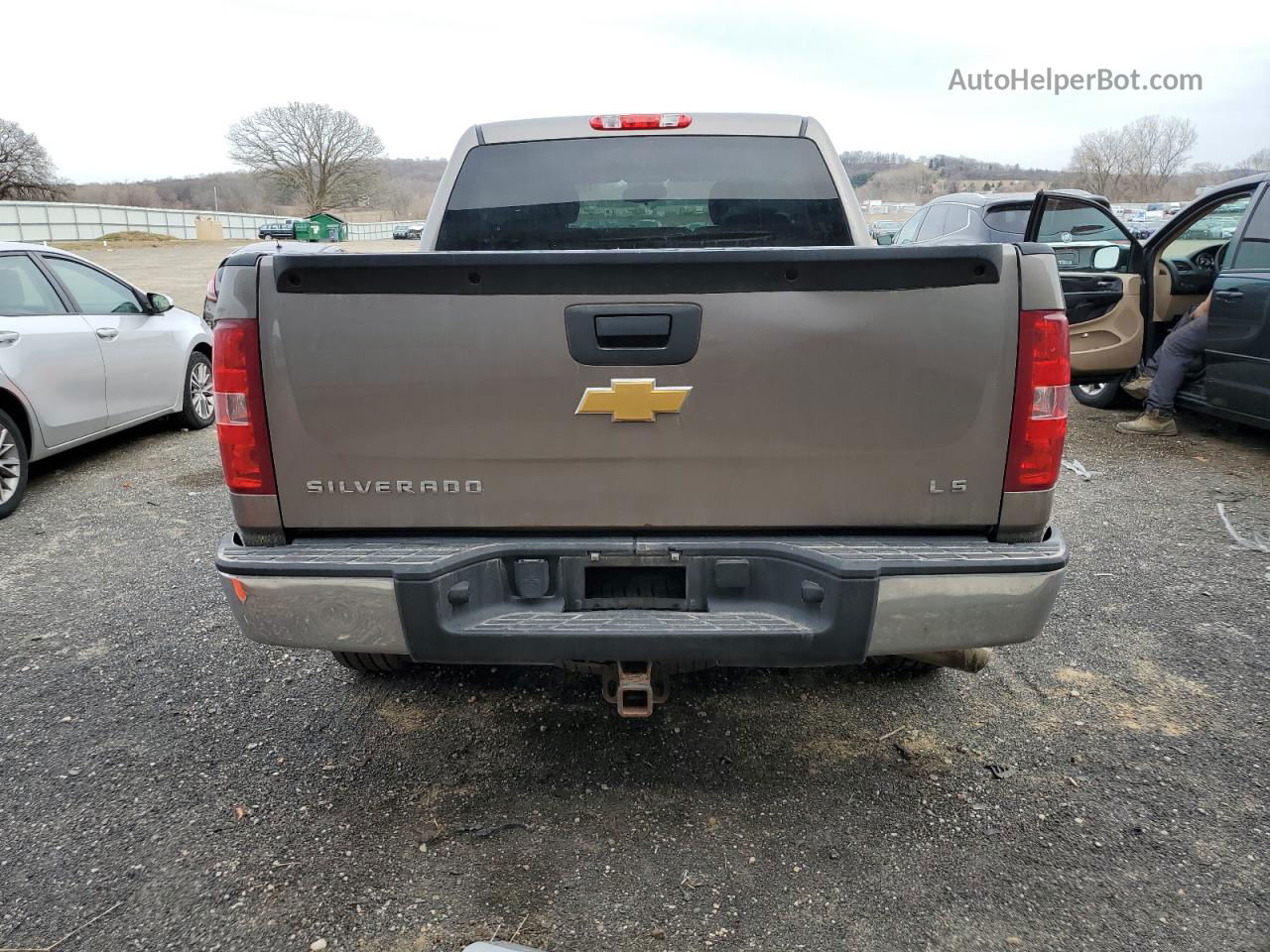 2013 Chevrolet Silverado K1500 Ls Gray vin: 3GCPKREA4DG293451