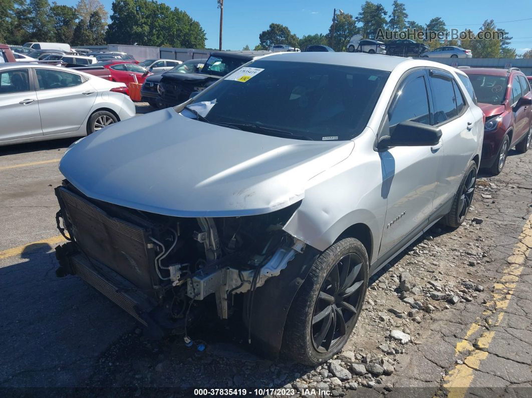 2019 Chevrolet Equinox Ls Silver vin: 3GNAXHEV0KS530782