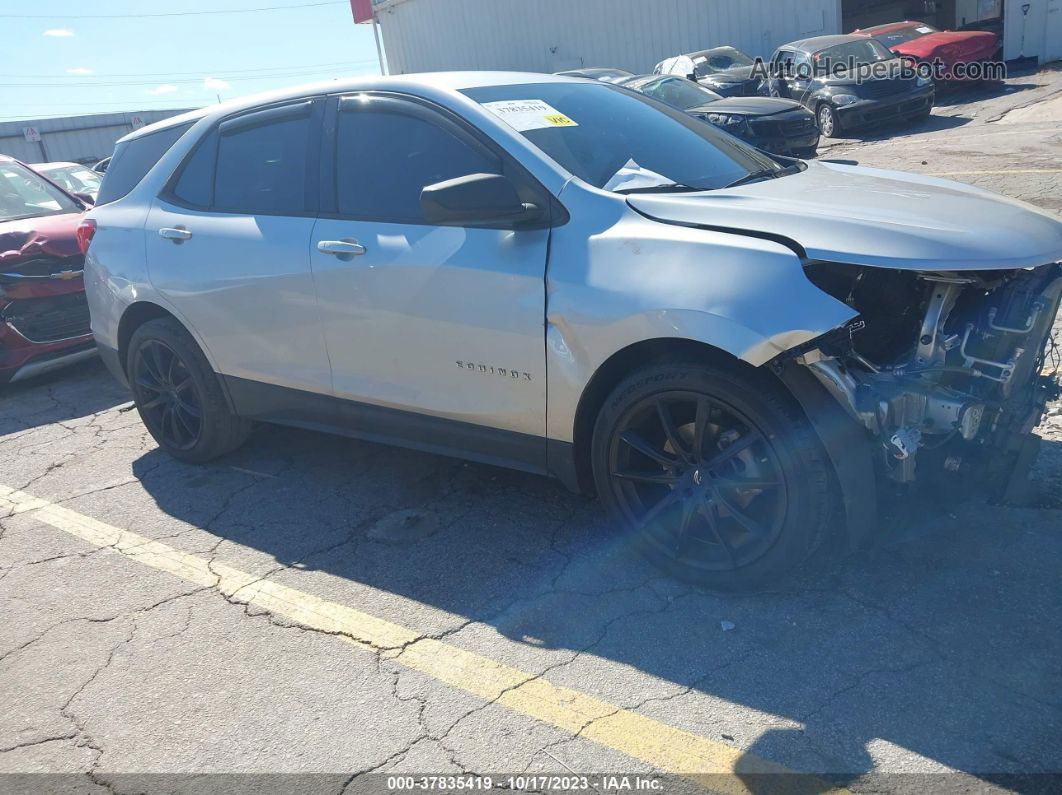 2019 Chevrolet Equinox Ls Silver vin: 3GNAXHEV0KS530782