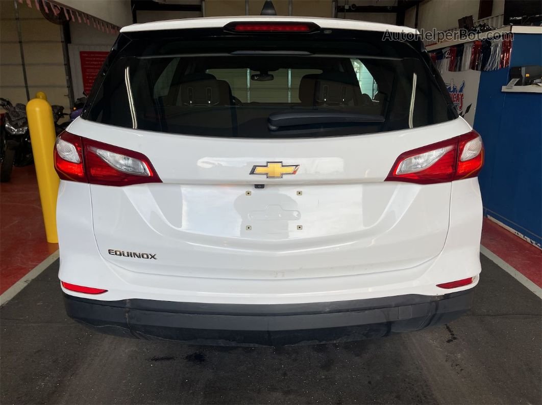 2019 Chevrolet Equinox Ls vin: 3GNAXHEV4KS657261