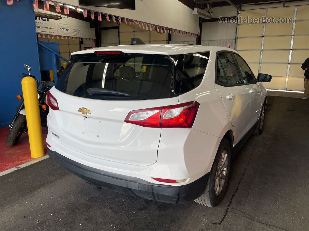 2019 Chevrolet Equinox Ls vin: 3GNAXHEV4KS657261