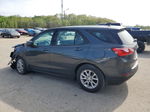 2019 Chevrolet Equinox Ls Gray vin: 3GNAXHEV6KS581350