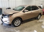 2018 Chevrolet Equinox Lt Beige vin: 3GNAXJEV1JL251051