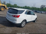 2019 Chevrolet Equinox Lt White vin: 3GNAXJEV7KS610880