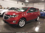 2019 Chevrolet Equinox Lt Maroon vin: 3GNAXKEV5KS528748