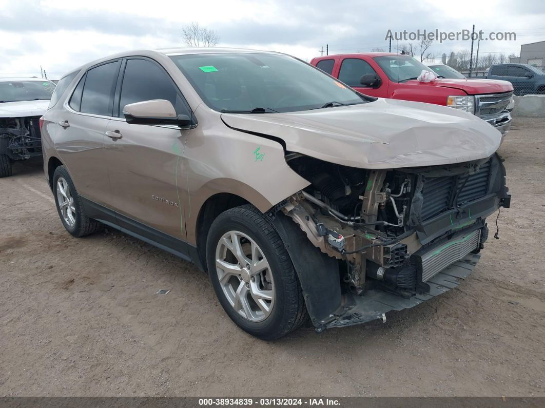 2018 Chevrolet Equinox Lt Gold vin: 3GNAXKEX1JL163172