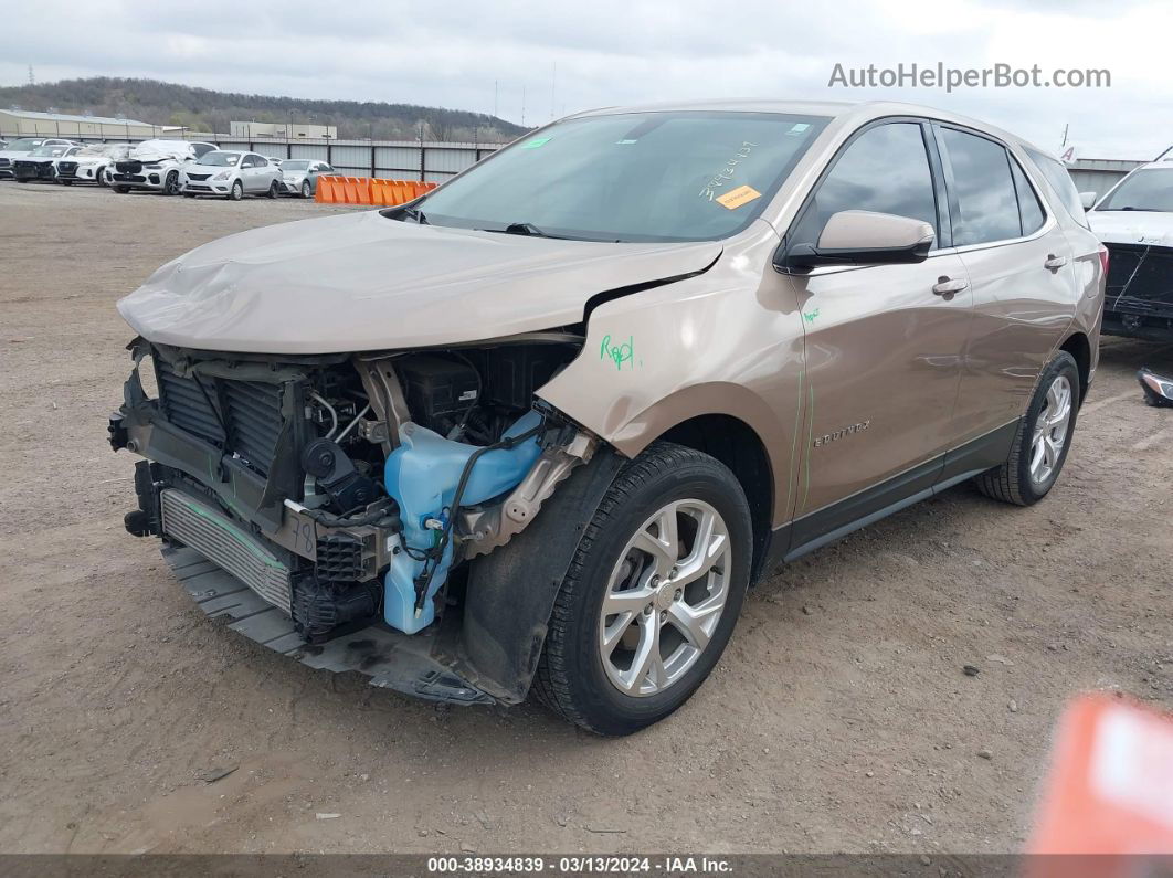 2018 Chevrolet Equinox Lt Gold vin: 3GNAXKEX1JL163172