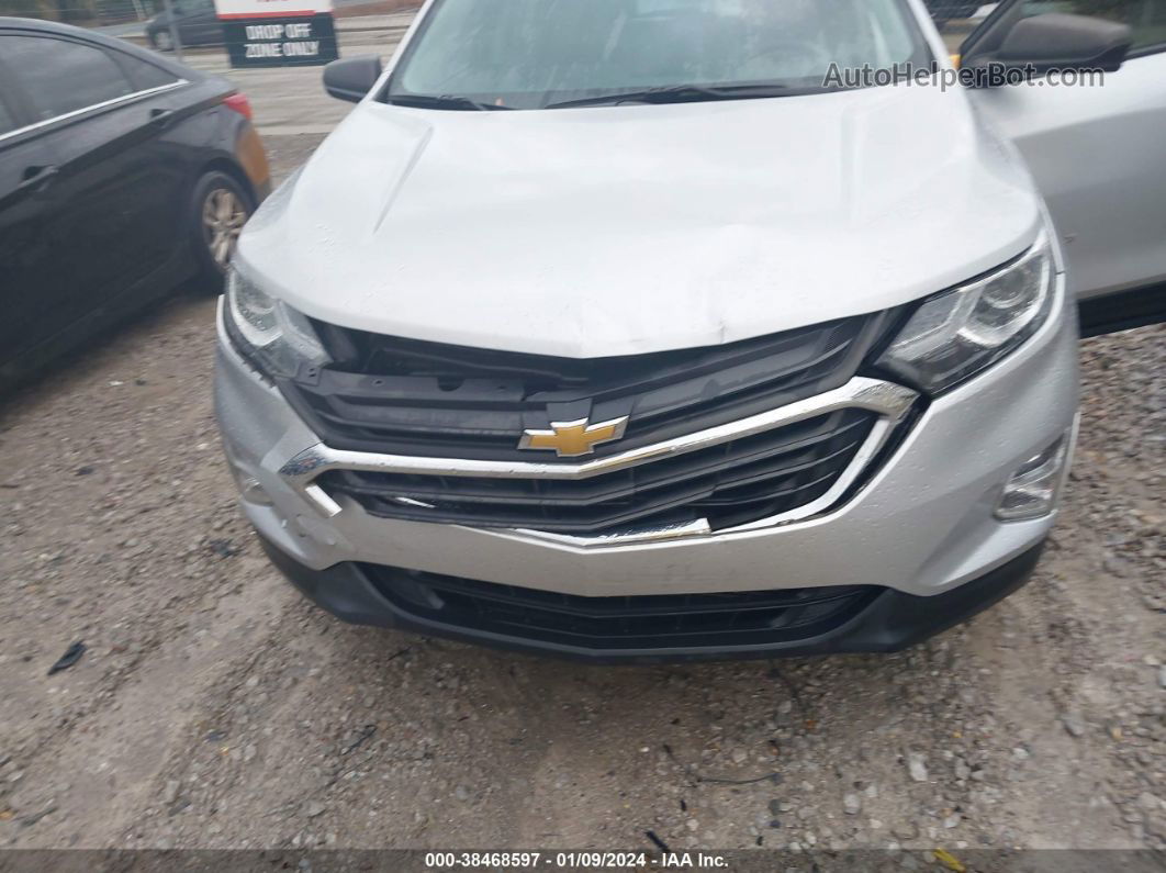 2019 Chevrolet Equinox Ls Silver vin: 3GNAXSEV2KL174620