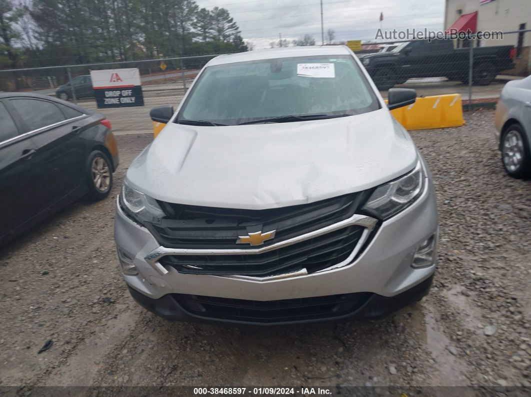 2019 Chevrolet Equinox Ls Silver vin: 3GNAXSEV2KL174620