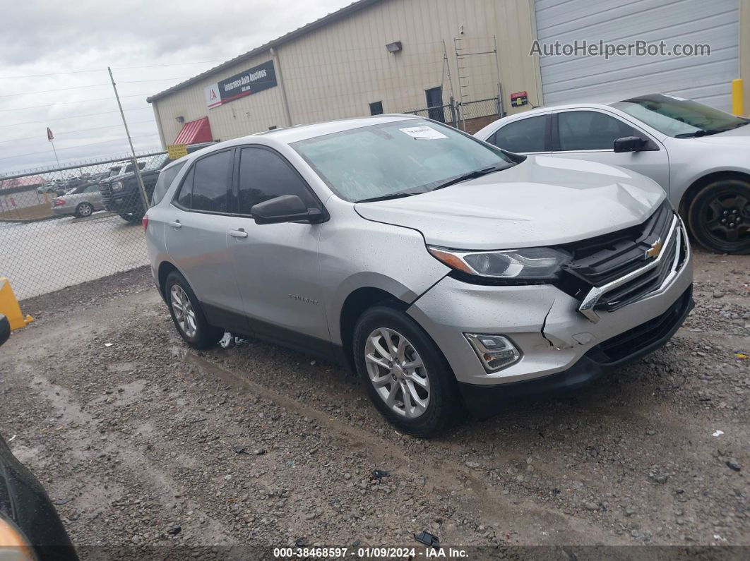 2019 Chevrolet Equinox Ls Silver vin: 3GNAXSEV2KL174620