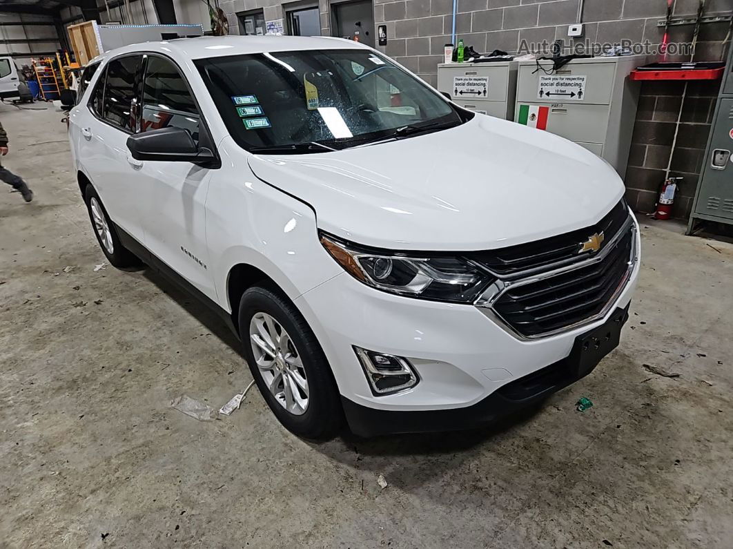 2019 Chevrolet Equinox Ls vin: 3GNAXSEV8KS544121