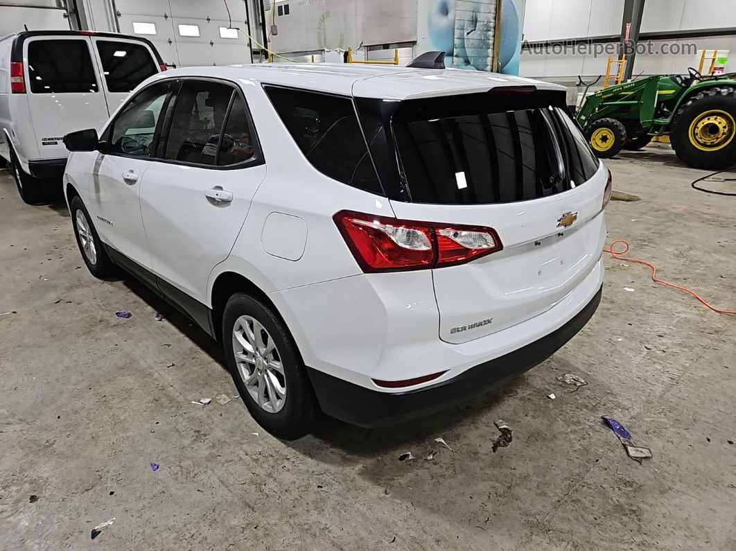 2019 Chevrolet Equinox Ls vin: 3GNAXSEV8KS544121