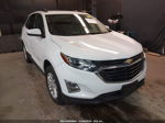 2019 Chevrolet Equinox Lt White vin: 3GNAXUEV8KL285524