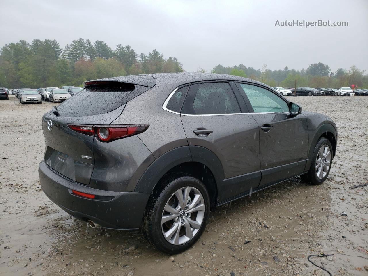 2021 Mazda Cx-30 Select Gray vin: 3MVDMBBL4MM248312