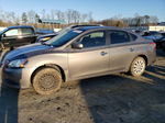 2015 Nissan Sentra S Бежевый vin: 3N1AB7AP2FL677763