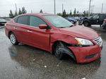 2014 Nissan Sentra S Red vin: 3N1AB7AP9EY287485