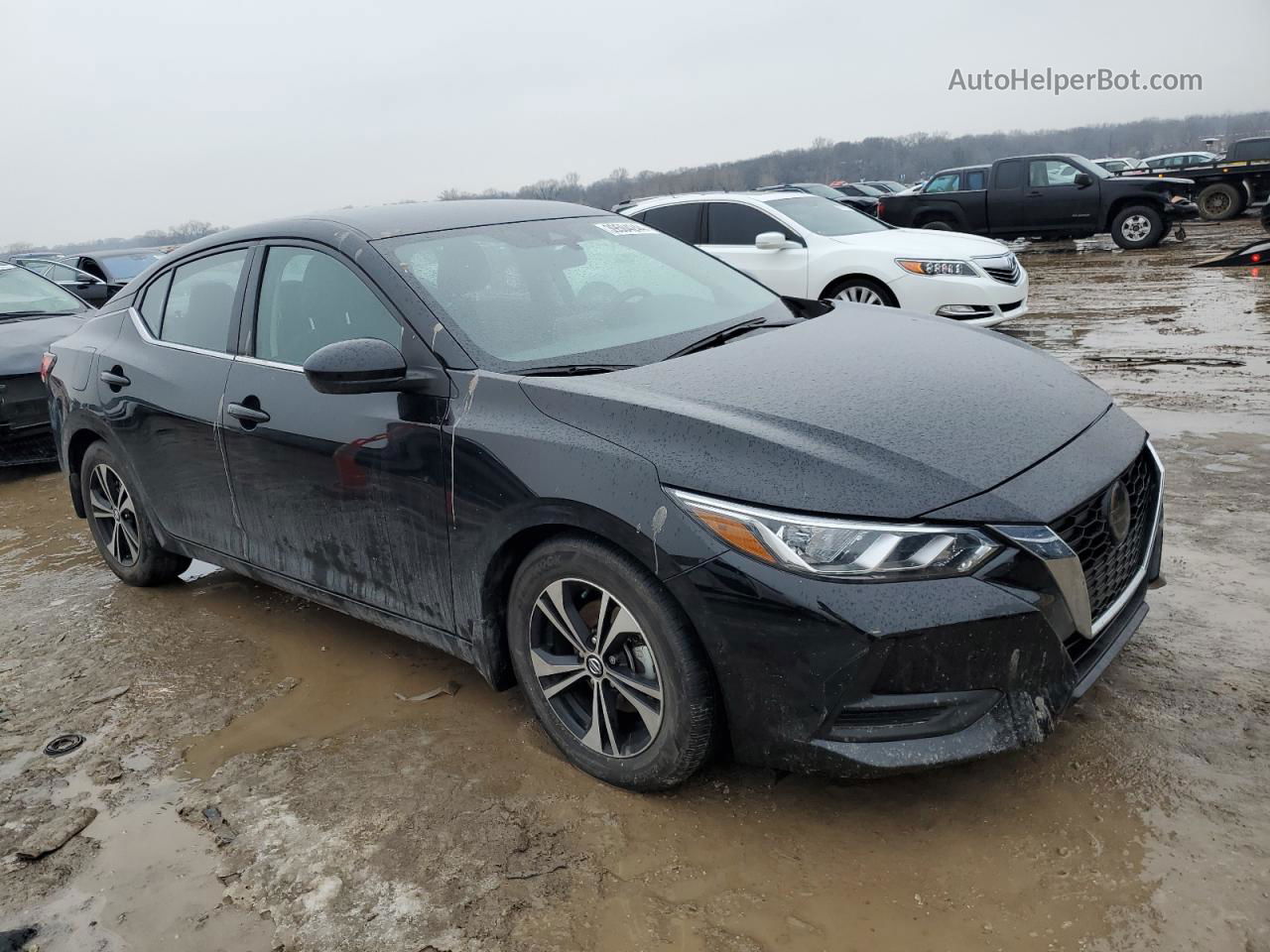 2023 Nissan Sentra Sv Black vin: 3N1AB8CV2PY239816