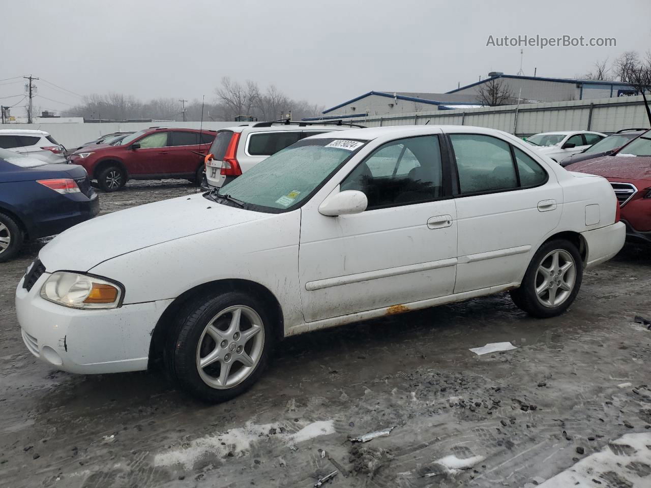 2005 Nissan Sentra 1.8 White vin: 3N1CB51D95L531524