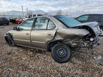 2005 Nissan Sentra 1.8 Золотой vin: 3N1CB51DX5L477571