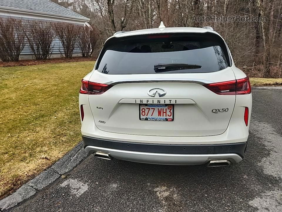 2021 Infiniti Qx50 Luxe White vin: 3PCAJ5BB3MF101375