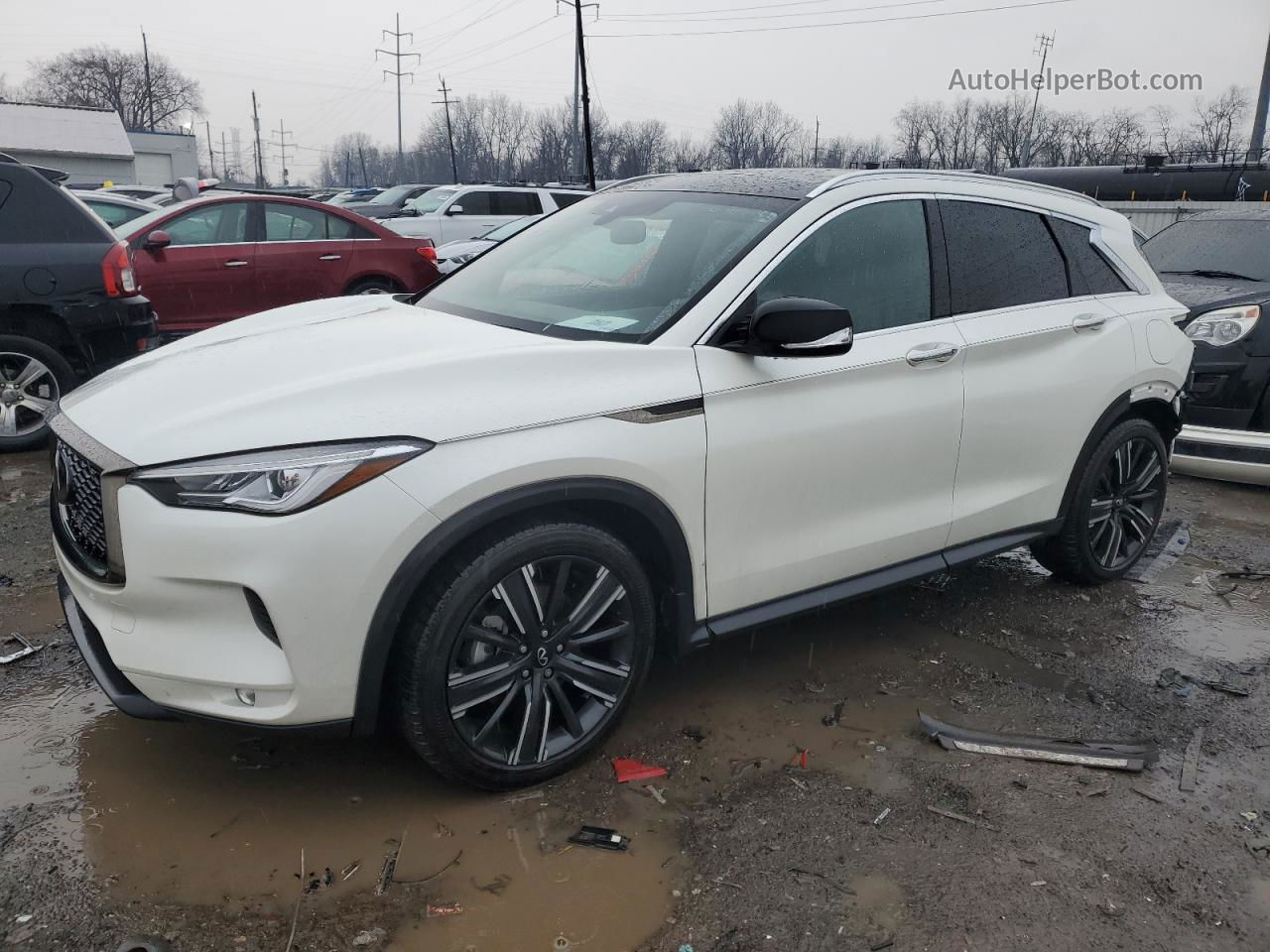 2021 Infiniti Qx50 Luxe White vin: 3PCAJ5BB4MF117259