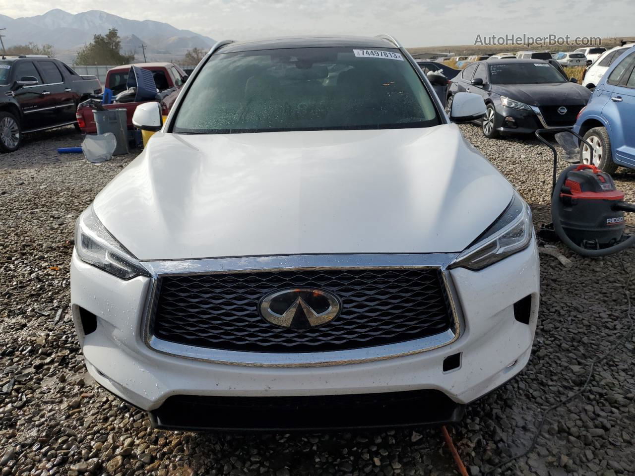 2021 Infiniti Qx50 Luxe White vin: 3PCAJ5BBXMF119758