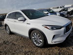 2021 Infiniti Qx50 Luxe White vin: 3PCAJ5BBXMF119758