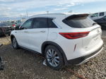 2021 Infiniti Qx50 Luxe White vin: 3PCAJ5BBXMF119758