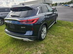 2021 Infiniti Qx50 Sensory Синий vin: 3PCAJ5CA2MF100840