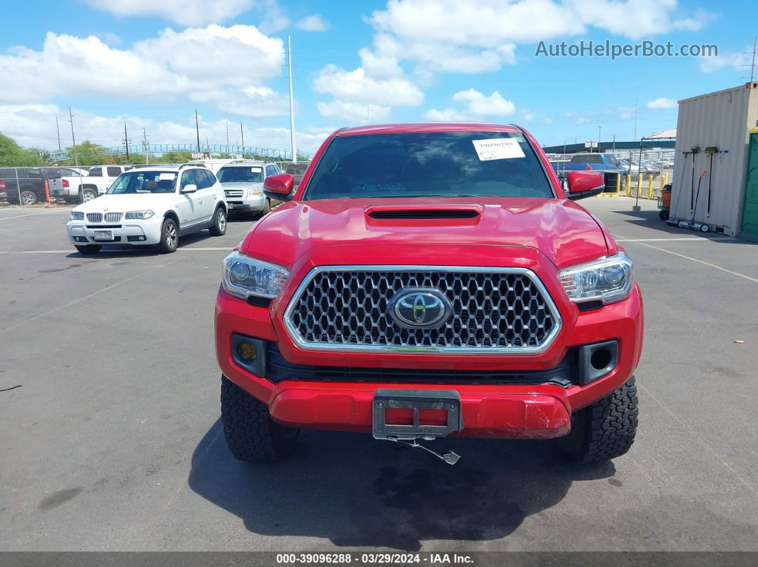 2019 Toyota Tacoma Trd Off Road Красный vin: 3TMAZ5CN1KM102292