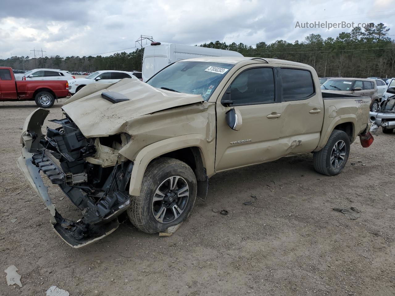 2019 Toyota Tacoma Double Cab Beige vin: 3TMAZ5CN1KM111378