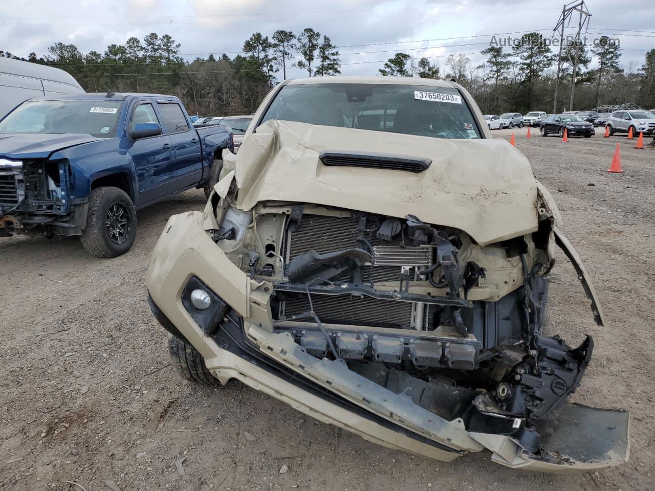 2019 Toyota Tacoma Double Cab Beige vin: 3TMAZ5CN1KM111378