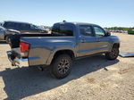 2021 Toyota Tacoma Double Cab Gray vin: 3TMAZ5CN3MM156891