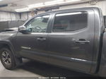 2019 Toyota Tacoma Trd Sport Gray vin: 3TMAZ5CN9KM104789