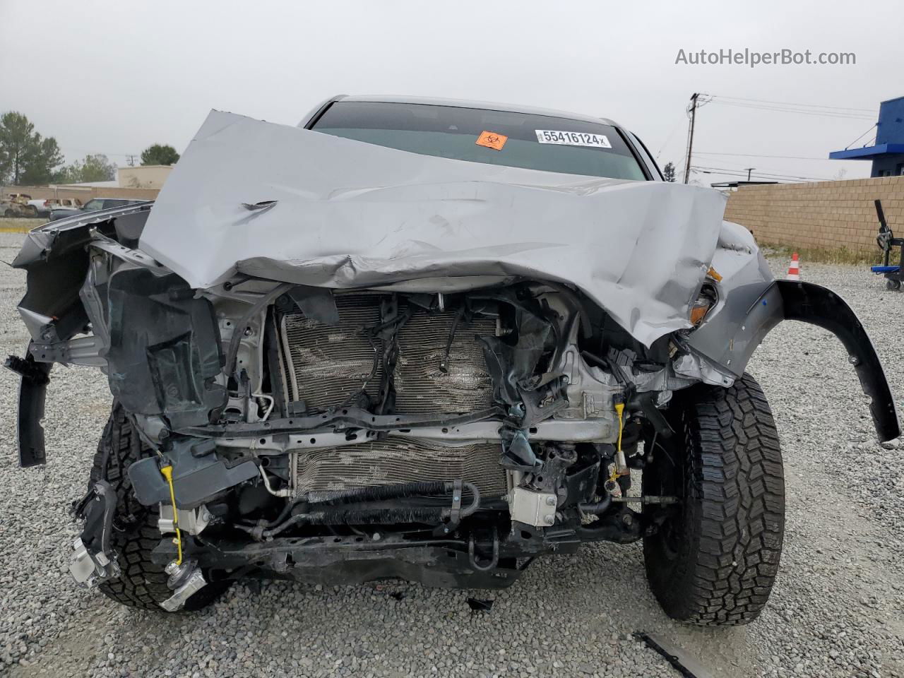 2020 Toyota Tacoma Double Cab Silver vin: 3TMAZ5CNXLM137933