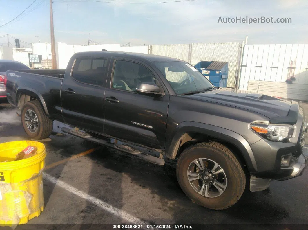 2017 Toyota Tacoma Trd Sport Gray vin: 3TMBZ5DN8HM012035