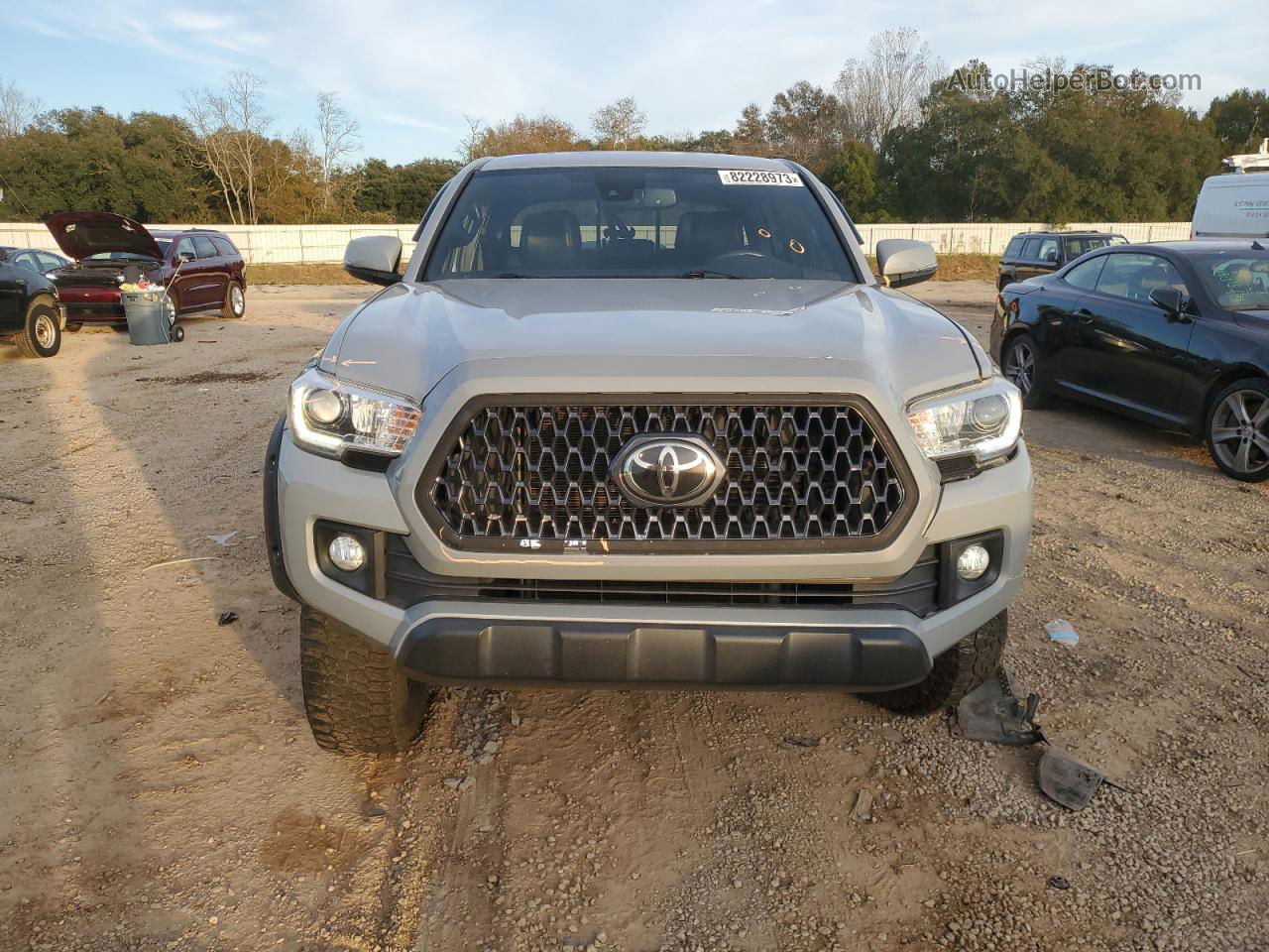 2019 Toyota Tacoma Double Cab Gray vin: 3TMCZ5AN2KM233226