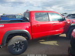 2021 Toyota Tacoma Trd Off-road Красный vin: 3TMCZ5AN2MM425426