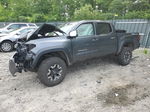 2019 Toyota Tacoma Double Cab Gray vin: 3TMCZ5AN3KM231386