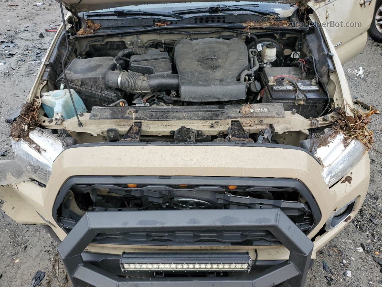 2019 Toyota Tacoma Double Cab Tan vin: 3TMCZ5AN3KM238189