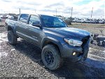 2019 Toyota Tacoma 4wd Trd Off Road Gray vin: 3TMCZ5AN5KM191828