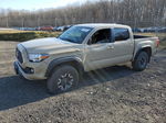 2019 Toyota Tacoma Double Cab Beige vin: 3TMCZ5AN5KM239926