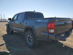 2017 Toyota Tacoma Double Cab Серый vin: 3TMCZ5AN6HM083131