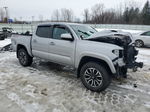 2020 Toyota Tacoma Double Cab Silver vin: 3TMCZ5AN6LM307605