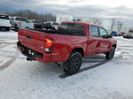 2021 Toyota Tacoma Double Cab Red vin: 3TMCZ5AN6MM381589