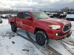 2021 Toyota Tacoma Double Cab Red vin: 3TMCZ5AN6MM381589