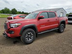 2021 Toyota Tacoma Double Cab Red vin: 3TMCZ5AN6MM421850