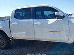 2019 Toyota Tacoma Sr5 V6 White vin: 3TMCZ5AN7KM281045